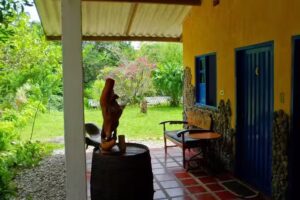 EcoLodge La Bonita