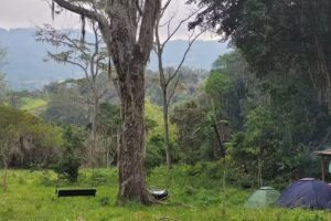 Ecoparque La veguita