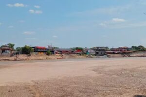 El amparo Estado Apure