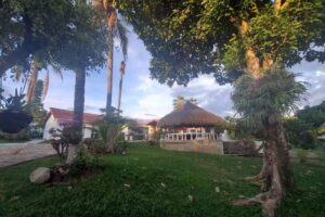 El Bongo de Chinauta