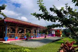 El Cerrito | Hostal | Experiencia del Caf&eacute; | Cata de Caf&eacute; en Chinchin&aacute;