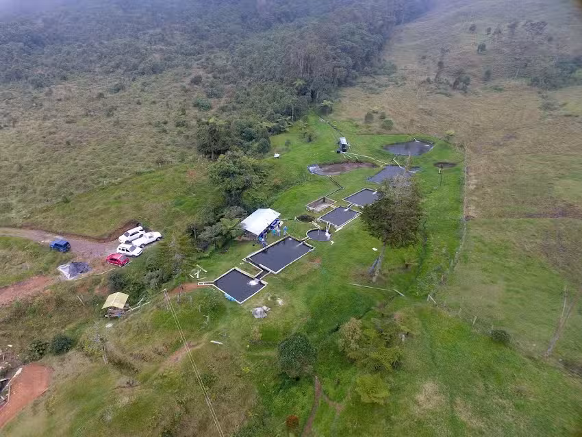 El Diluvio, Nogales, Buga