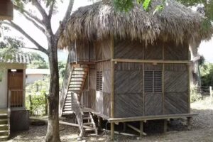 El Jobo Caba&ntilde;a