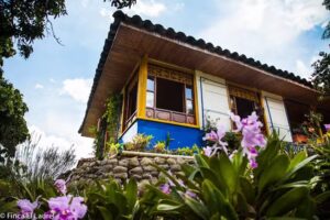 El Laurel Finca Agrotur&iacute;stica