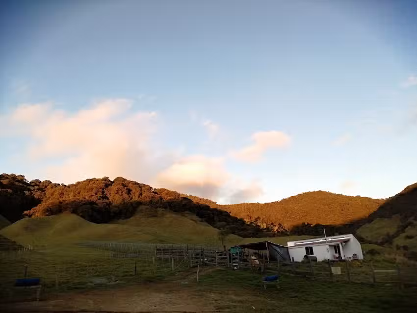 EL MIRADOR