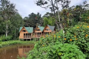 El Nahual COHI Tierra Agua