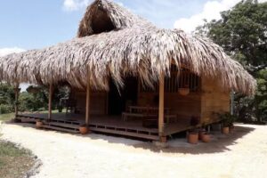 El Portal de Bellavida