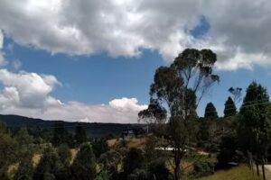 El Prado Verj&oacute;n Bajo