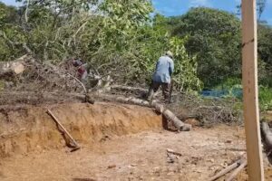 EL RANCHO DE BRANCHO