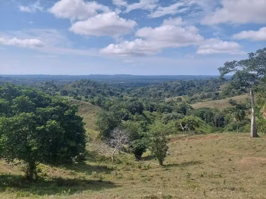 El Trapiche