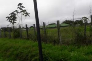 Elhostel, flashpack The Amazon