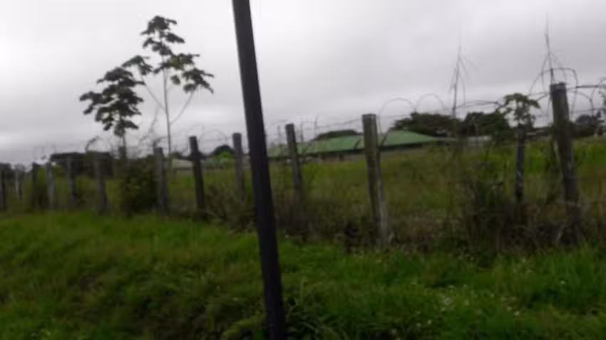 Elhostel, flashpack The Amazon