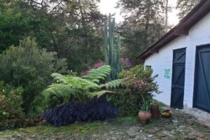 Ensenillo Hotel Boutique