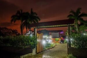 Entre el Llano y la Selva