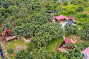 Entre Mangos Natural Retreat