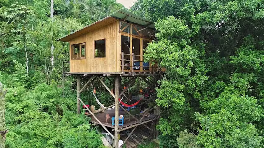 Entre palos Eco-refugio