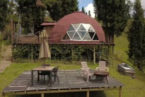Entre-pinos Glamping Aeropuerto