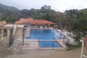 Estadero Buenisimo Gold