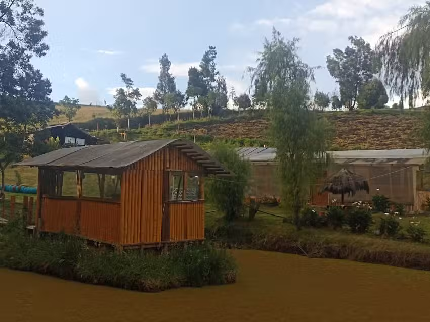 Estadero Campestre el Para&iacute;so T&uacute;querres