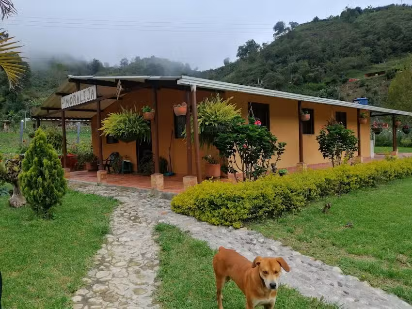 Estancia La Moraleja