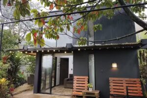 Eucalipto caba&ntilde;a