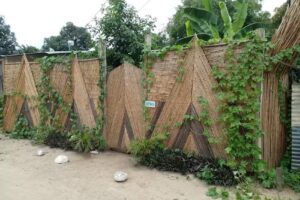 FBA Familia Buena Aventura