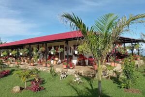Finca Agroturistica Villa Claudia Vereda La Primavera