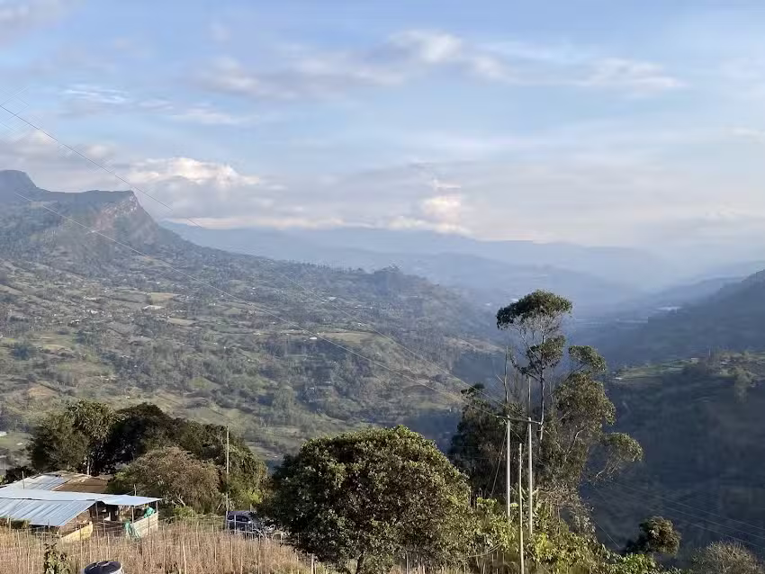 Finca bella vista