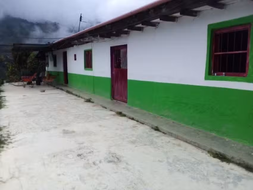 Finca Buena Vista L&iacute;bano Palermo Huila