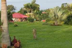 Finca Cafetera en el Quindio