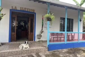 FINCA CAFETERA LA ILUSI&Oacute;N