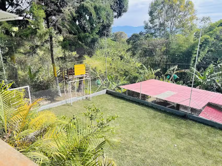 Finca campestre el lim&oacute;n