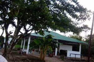 Finca Casa Verde del LLano