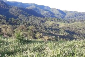 Finca Ecologica Pie De Monte Llanero