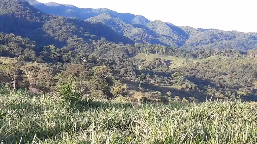 Finca Ecologica Pie De Monte Llanero