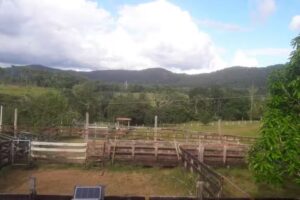 Finca Ecoturística el Chontaduro