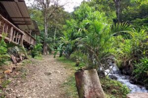 Finca ecoturistica el Para&iacute;so &ndash; Regi&oacute;n calima