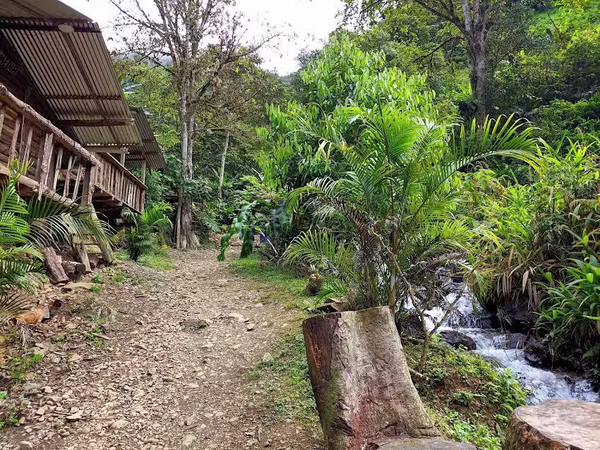Finca ecoturistica el Para&iacute;so &ndash; Regi&oacute;n calima