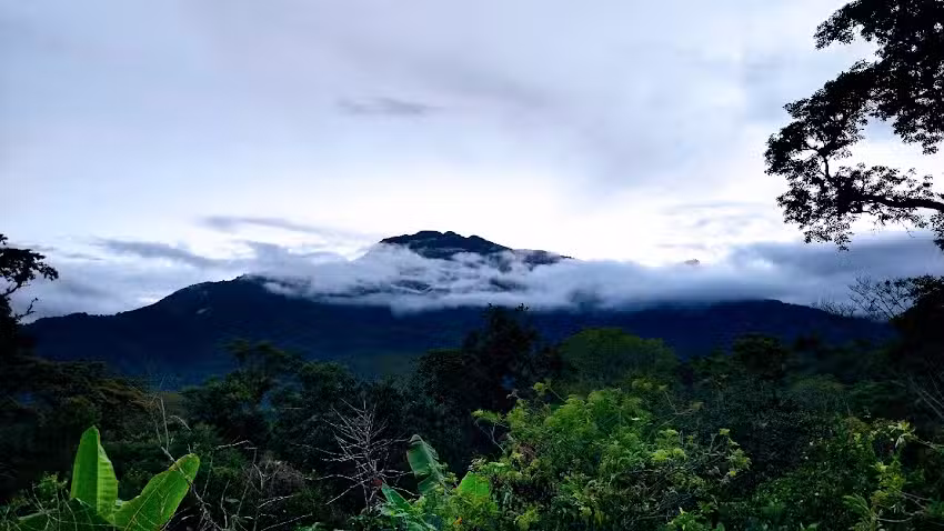 Finca Ecotur&iacute;stica &ldquo;San Mart&iacute;n&rdquo;