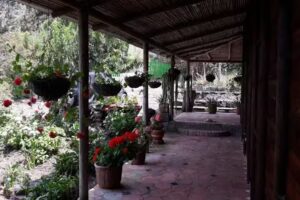 Finca El Cartucho
