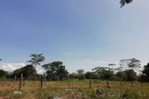 FINCA “EL DANUBIO”