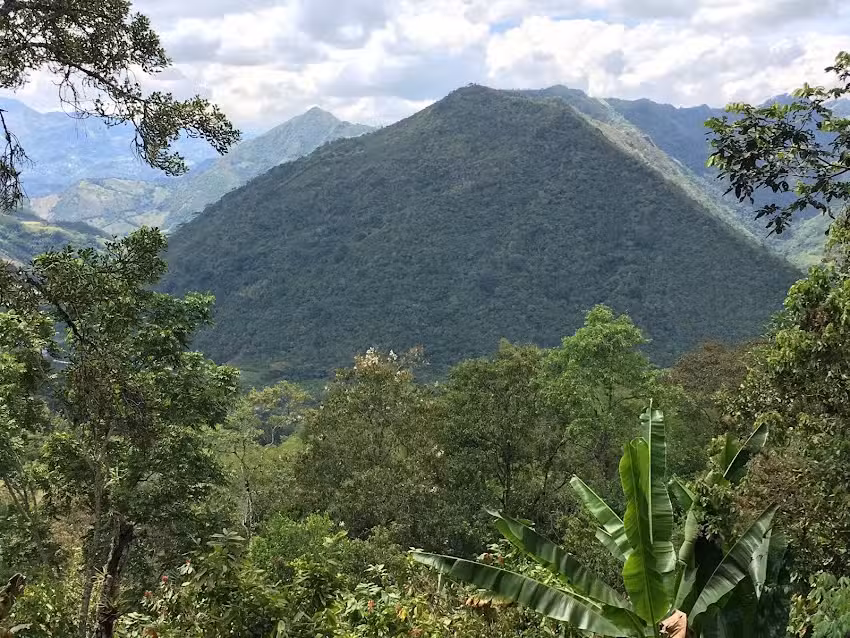 Finca EL GUAMO