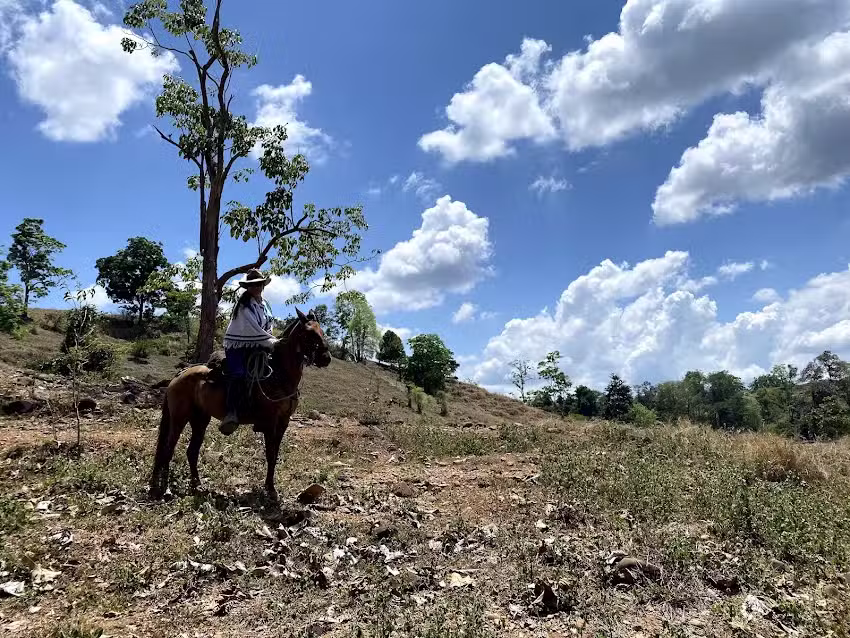 Finca el Jard&iacute;n