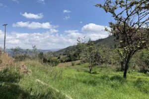 Finca el Papayo &ndash; Pablo Cifuentes