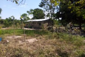 Finca el para&iacute;so