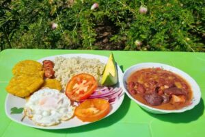 Finca el Para&iacute;so