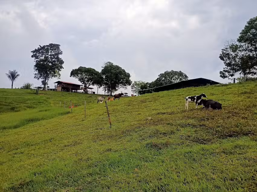 Finca el para&iacute;so