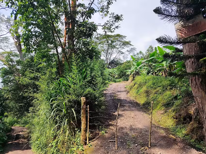 Finca El Paraiso Casallas