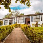 Finca el pi&ntilde;al