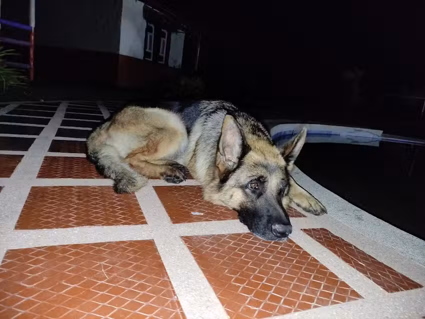 Finca el rinc&oacute;n de Tavito